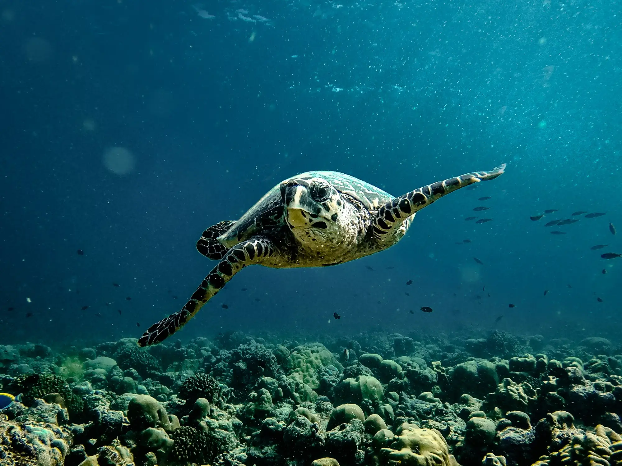 Organisation de votre voyage