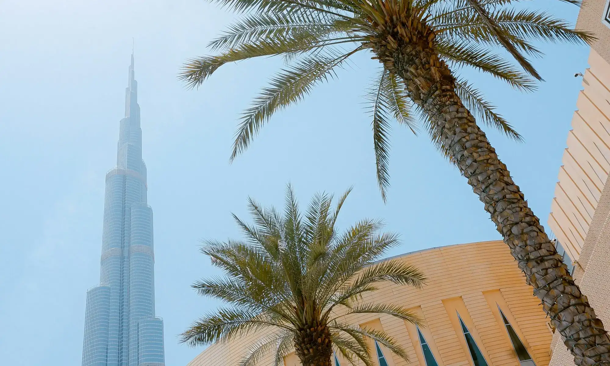 Dubaï & Abu Dhabi